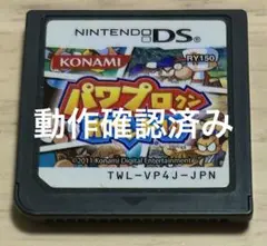 パワプロクンポケット14 NINTENDO DS　動作確認済み　Nintendo