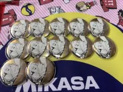 ハイキュー デコレクション缶バッジ