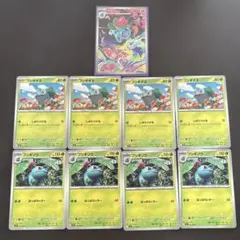 め*お様 ポケモンカード　フシギソウ AR 進化ライン オマケ付き