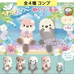 うきうきらっこぬいぐるみ 全４種 コンプ ラッコ ボールチェーン ガチャ