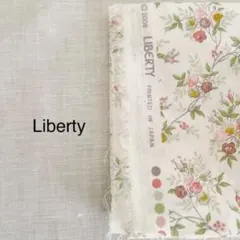 Item thumbnail for item fef72bd9-a40d-41ab-8c47-69b0d296a9f1