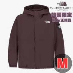 セール　韓国限定　ノースフェイス　VILAN EX JACKET　ブラウン