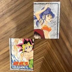 【値下げ価格】遊戯王 トレーディングカード2枚セット