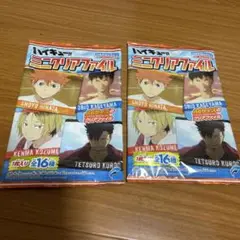 ハイキュー‼︎ ミニクリアファイル　2店セット