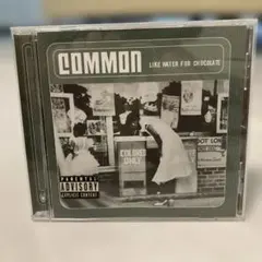 新品COMMON LIKE WATER FOR CHOCOLATE2枚組レコード 2025年最新】like water for chocolateの人気アイテム - メルカリ