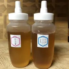 【非加熱・生はちみつ】れんげ250g&からすたらのき百花蜜250g(2本セット)