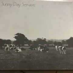 2025年最新】サニーデイサービスの人気アイテム - メルカリ