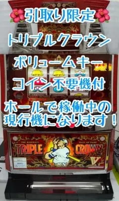 2025年最新】トリプルクラウン 実機の人気アイテム - メルカリ