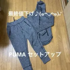 PUMAセットアップ