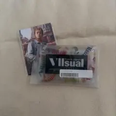 vllsual カード ポーチ