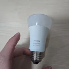 philips hue 蛍光灯・電球