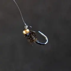 Item thumbnail for item fcb8ca27-6a6a-4849-a15e-ecaaf4c26991