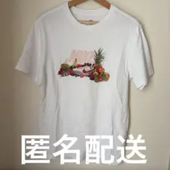 NIKE ナイキ　半袖　グラフィックTシャツ　M