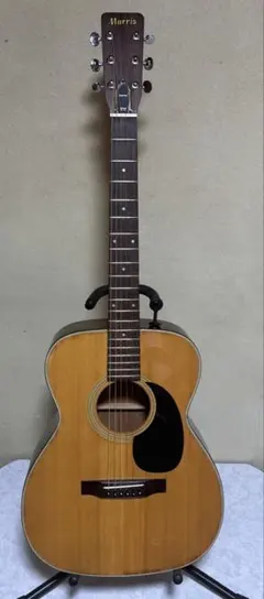 Farida アコースティックギター グラデーション ギター Farida OT-22