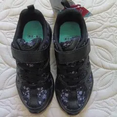 Item thumbnail for item 1e8be9c2-a623-40f9-a4f5-abe7362562ef