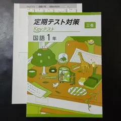 【新品・2025年版】 keyテスト 国語 三省 1年 現代の国語