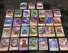 c ダブりなし 鳥羽水族館 コレクションカード ノーマル まとめ売り 31枚