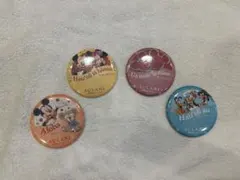 アウラニディズニーリゾート 缶バッジ
