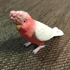 手のりインコ コレクション モモイロインコ トサカ ガチャガチャ