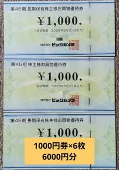 ビックカメラ　株主優待6,000円分