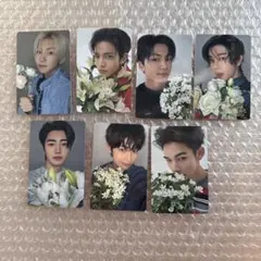 ENHYPEN トレカ weverse 特典 ソロジャケ コンプセット