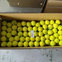 Item thumbnail for item ac5f44a0-e151-4c2c-9dd7-88de9809f483