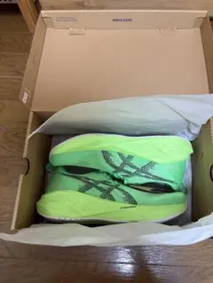 ASICS ノヴァブラスト5 メタスピード　ランニングシューズ 新品のサムネイル