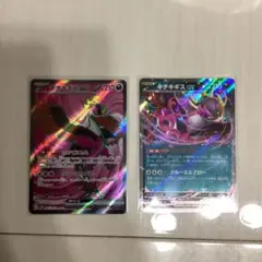 キチキギスex SR RR