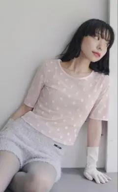 sorin ソリン　半袖　Tシャツ　トップス　シアーシャツ　ベージュ USAGI ONLINE限定カラー】SWAN LAKE Half Sleeve TOP