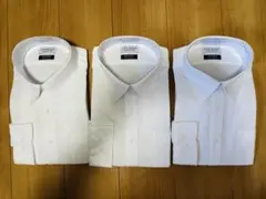 Item thumbnail for item d725744d-d3a2-482a-97c1-f7d93555cdb0