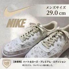 【希少/限定品】NIKE コート ビジョン LOW 29cm 刺繍デザイン