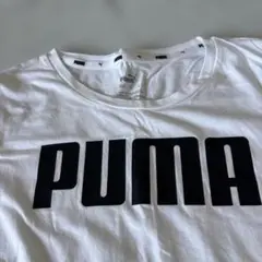 Item thumbnail for item 22137d00-c210-4a24-ad5d-bfdeebbf4c9e