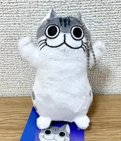 夜は猫といっしょ マスコット　ぬいぐるみ