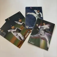 小川泰弘　プロ野球チップス　カード