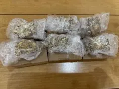 JOJO　一番くじ　H賞　コンプ 6点セット