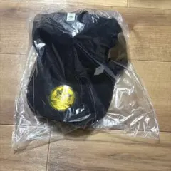 ぽこあポケモン メタモン キャップ エディオン 予約 購入 特典 ぽこポケ 帽子