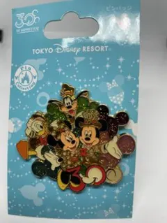 東京ディズニーランド 30周年記念ピンバッジ