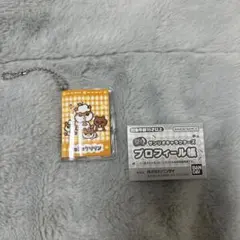 サンリオキャラクターズ プロフィール帳 ガチャガチャ コロコロクリリン