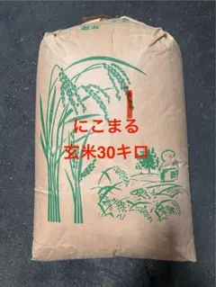 令和七年大分産ヒノヒカリ 玄米 30kg - メルカリ