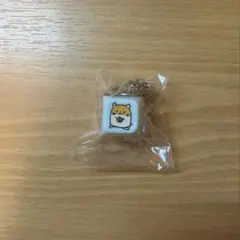 INI カプセルトイ キーキャップ 髙塚