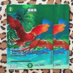 2025年最新】極楽鳥 foilの人気アイテム - メルカリ