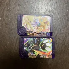 メガカイリュー シガルデ フレンダピック