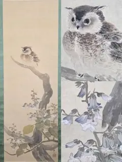 【夏の夕図(木菟に桐の花図)】小寺雲洞 2747 掛け軸 肉筆 共箱 夏の夕図(木菟に桐の花図)】小寺雲洞 2747 掛け軸 肉筆 共箱 - メルカリ