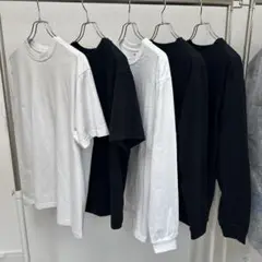 Hanes ビーフィーT 半袖 長袖 計5枚セット L・M 美品
