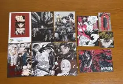 己龍 2008年〜2009年フライヤー&アンケート【11枚】 - メルカリ