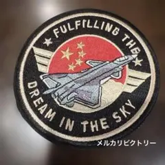 韓国空軍 ブラックイーグルス F/A-50 操縦士用 最新 パッチ ワッペン