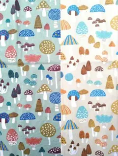 Item thumbnail for item 7c372049-ee48-42d0-8651-1afcb9012cd8