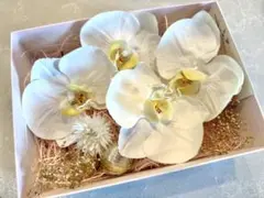 胡蝶蘭　ヘッドドレス ヘアアクセサリー　和装　前撮り　結婚式　成人式　卒業式