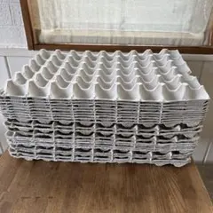 2026年最新】爬虫類飼育セットの人気アイテム - メルカリ