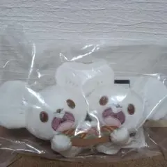 一番くじ　ポケピースF賞　ワッカネズミ